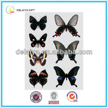 Maravillosas pegatinas de pared de mariposa de PVC 3D